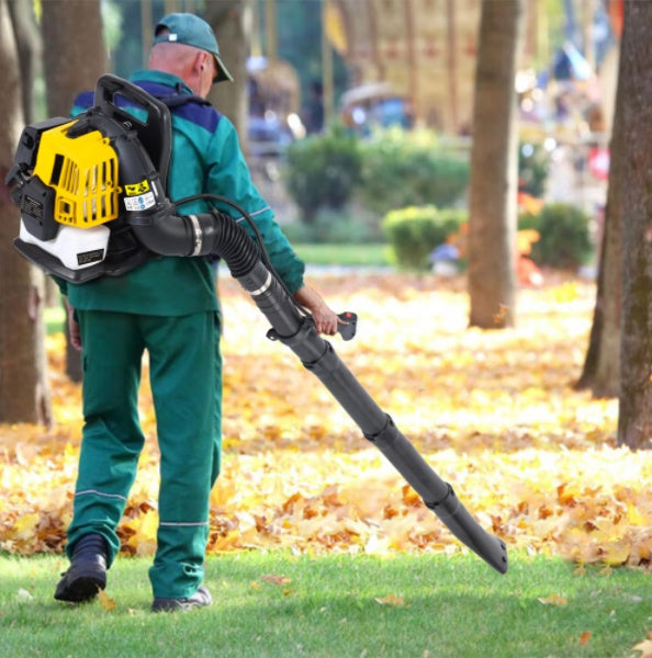 Lawn Hair Dryer