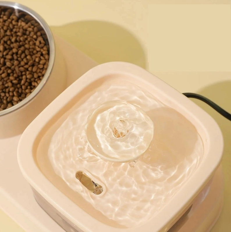 Cat Water Dispenser And Feeding Bowl 2-in-1